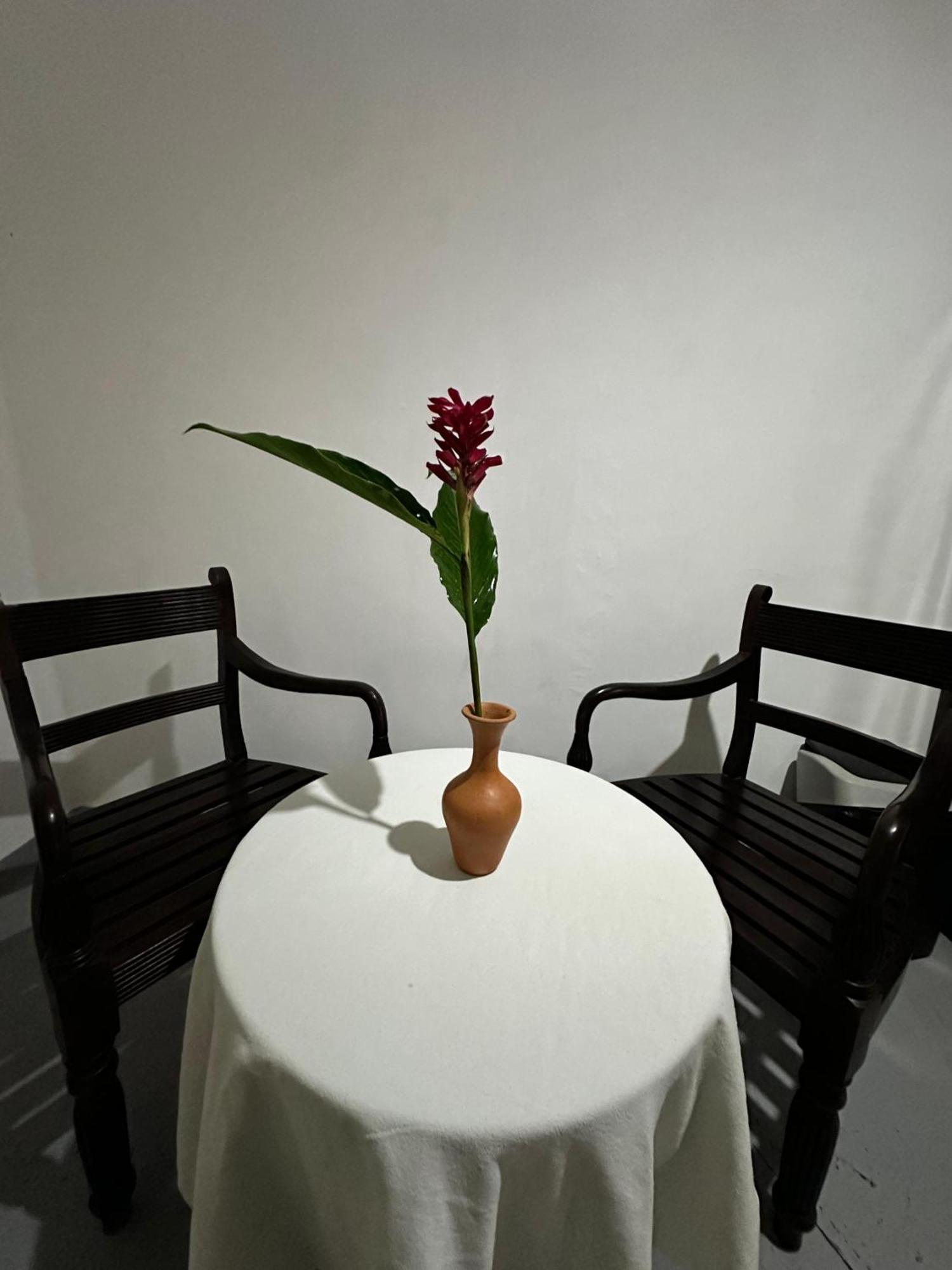 Casa Del Ceylon Apartment ฮิกคาดูวา ภายนอก รูปภาพ